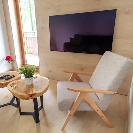 Apartserwis Orkana Harmonia * 扎科帕内