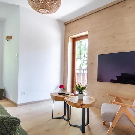 Apartserwis Orkana Harmonia * 扎科帕内