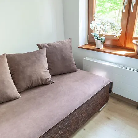 Apartserwis Orkana Harmonia 公寓 扎科帕内