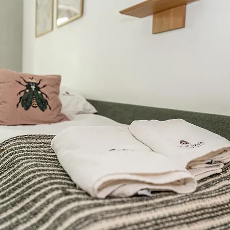 Apartserwis Orkana Harmonia 公寓 扎科帕内