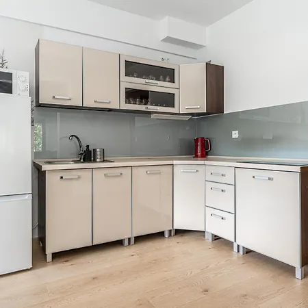 Apartserwis Orkana Harmonia 公寓 扎科帕内