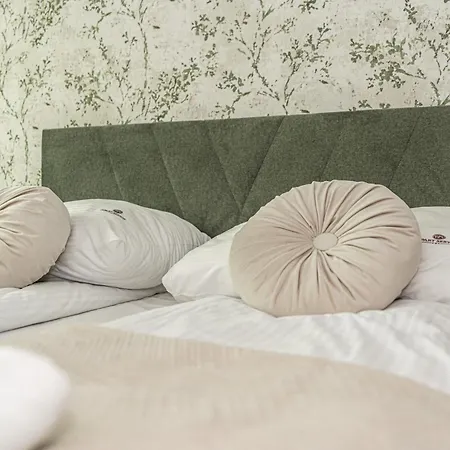 公寓 Apartserwis Orkana Harmonia 扎科帕内